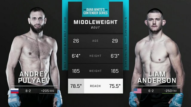 Contender Series 2024 - Andrey Pulyaev vs Liam Anderson - August 27, 2024