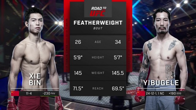 Road to UFC - Bin Xie vs Yibugele - May 17, 2014