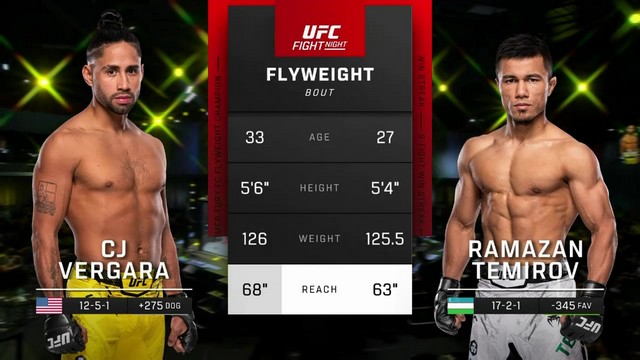 UFC Fight Night - CJ Vergara vs Ramazan Temirov - October 12, 2024