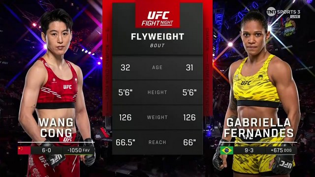 UFC Fight Night - Cong Wang vs Gabriella Fernandes - November 23, 2024