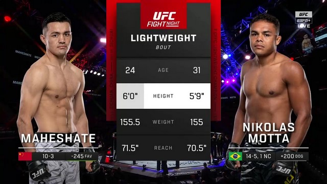 UFC Fight Night - Maheshate Hayisaer vs Nikolas Motta - November 23, 2024