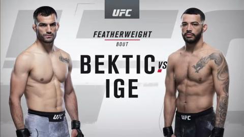 UFC 247 - Mirsad Bektic vs Dan Ige - Feb 8, 2020