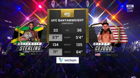 UFC 288 - Sterling vs. Cejudo - May 06, 2023