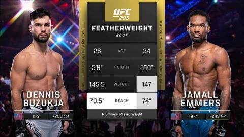 UFC 295 - Dennis Buzukja vs Jamall Emmers - November 11, 2023