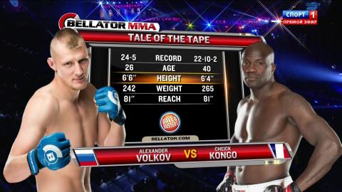 Bellator 139 - Alexander Volkov vs Cheick Kongo - Jun 26, 2015