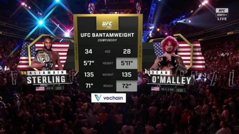 UFC 292 - Aljamain Sterling vs Sean O'Malley - August 20, 2023