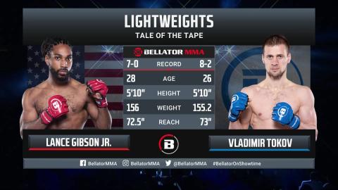 Bellator 293 - Tokov vs Gibson Jr - March 31, 2023