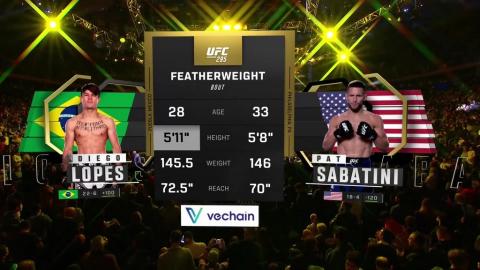 UFC 295 - Diego Lopes vs Pat Sabatini - November 11, 2023