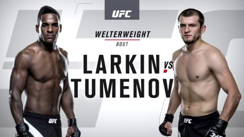 UFC 195 - Lorenz Larkin vs Albert Tumenov - Jan 02, 2016