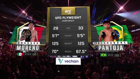 UFC 290 - Brandon Moreno vs Alexandre Pantoja - July 08, 2023