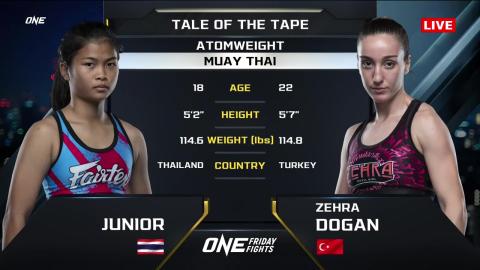 One Friday Fights 33 - Junior Fairtex vs Zehra Doğan - September 14, 2023