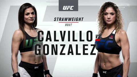 UFC 210 - Pearl Gonzalez vs Cynthia Calvillo - Apr 8, 2017