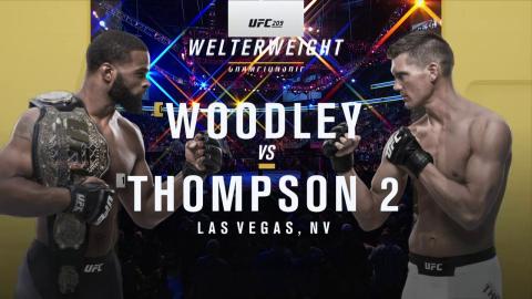 UFC 209 - Tyron Woodley vs Stephen Thompson - Mar 4, 2017