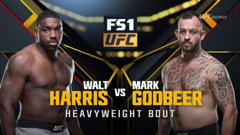 UFC 217 - Walt Harris vs Mark Godbeer - Nov 4, 2017