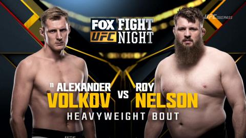UFC on Fox 24 - Alexander Volkov vs Roy Nelson - Apr 15, 2017