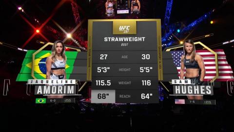 UFC 287 - Amorim vs Hughes - April 08, 2023
