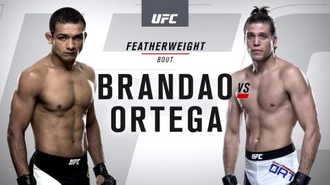 UFC 195 - Diego Brandao vs Brian Ortega - Jan 02, 2016