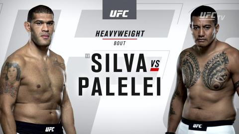 UFC 190 - Soa Palelei vs Antonio Silva - Aug 1, 2015